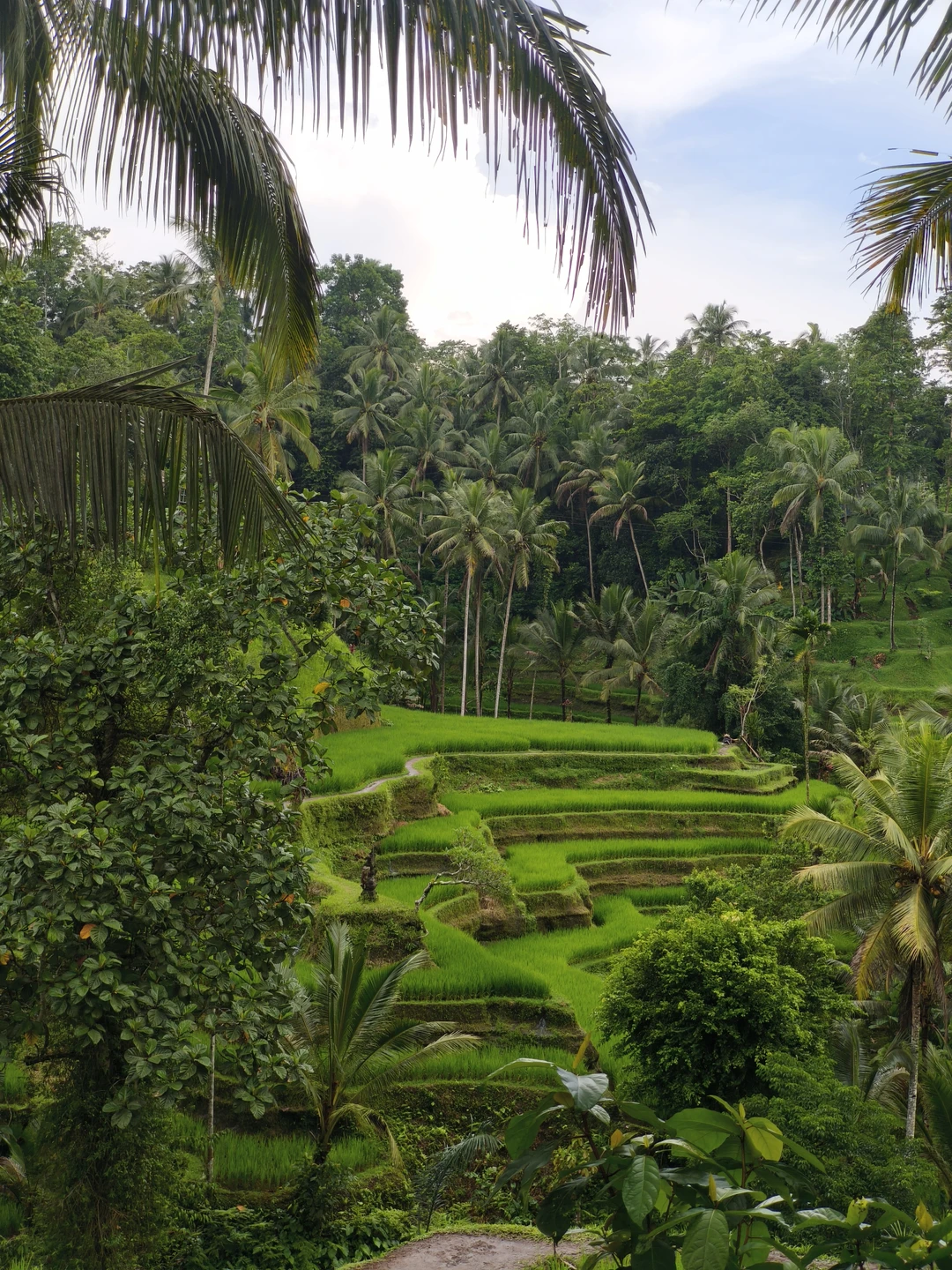 Отличная экскурсия, все вовремя, чистая машинка с кондиционером, очень приветливый гид сопровождающий - Альберт! Билеты в