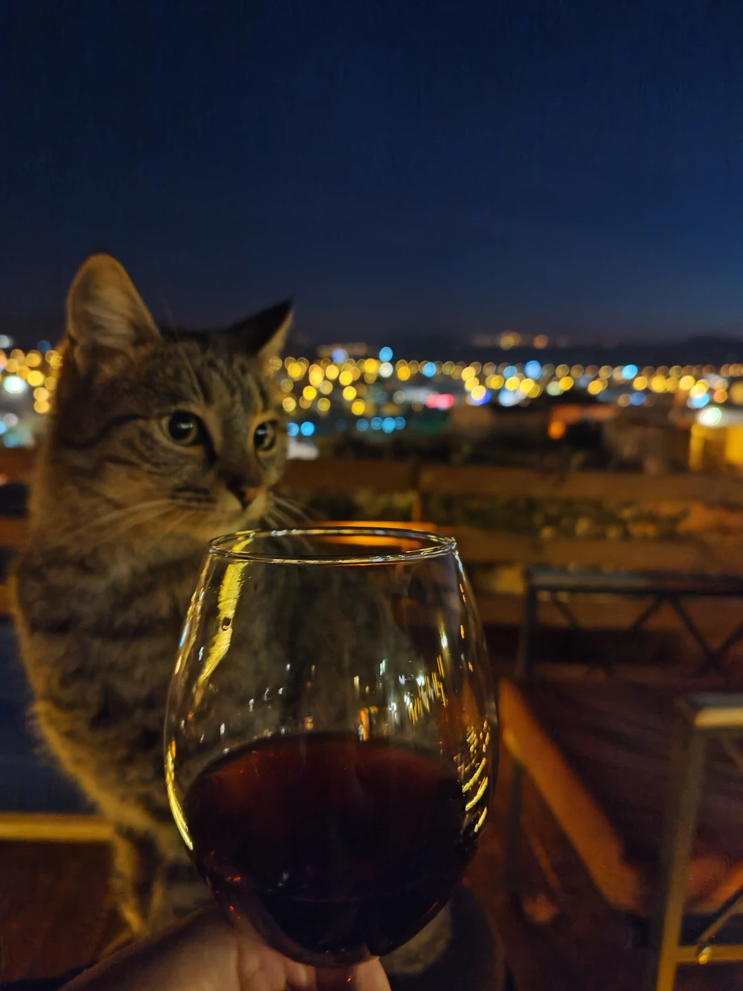 Мне и дочке все понравилось! Всем советую посетить,кто когда-либо побывает в Турции. Было много разных мест