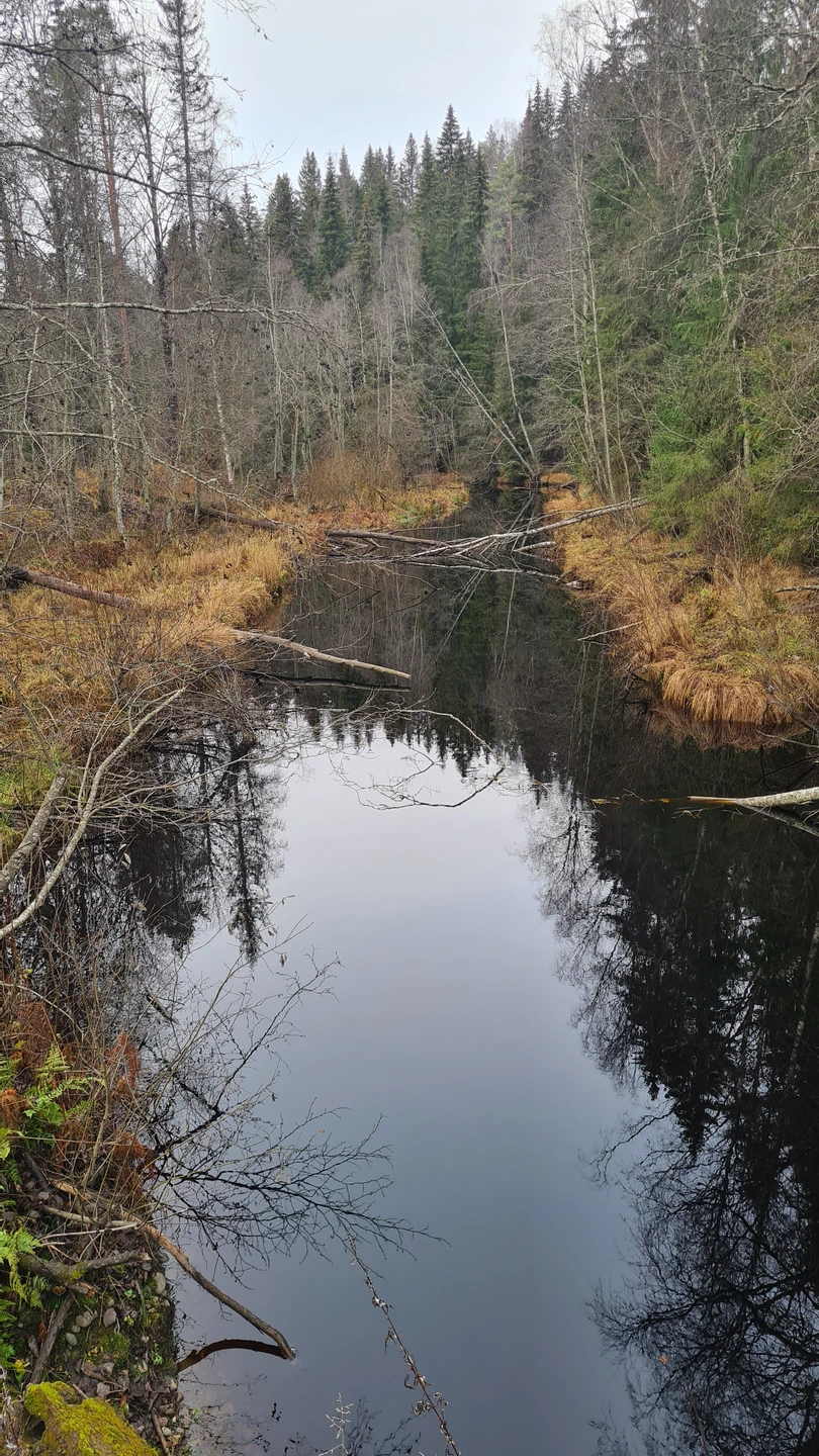 Прекрасная экскурсия! Провели отличный день в обществе Надежды и природы Карелии! Дополнительный плюс – практически полное