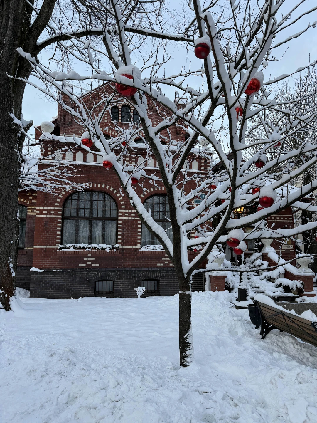 Рождество в Кранце (Анна)