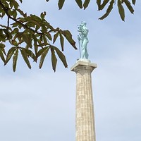 reviews img
