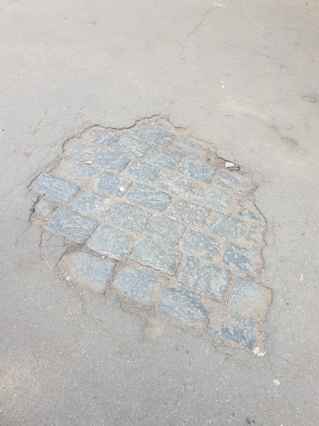 Романтическая прогулка по загадочному Калининграду (Еленв)