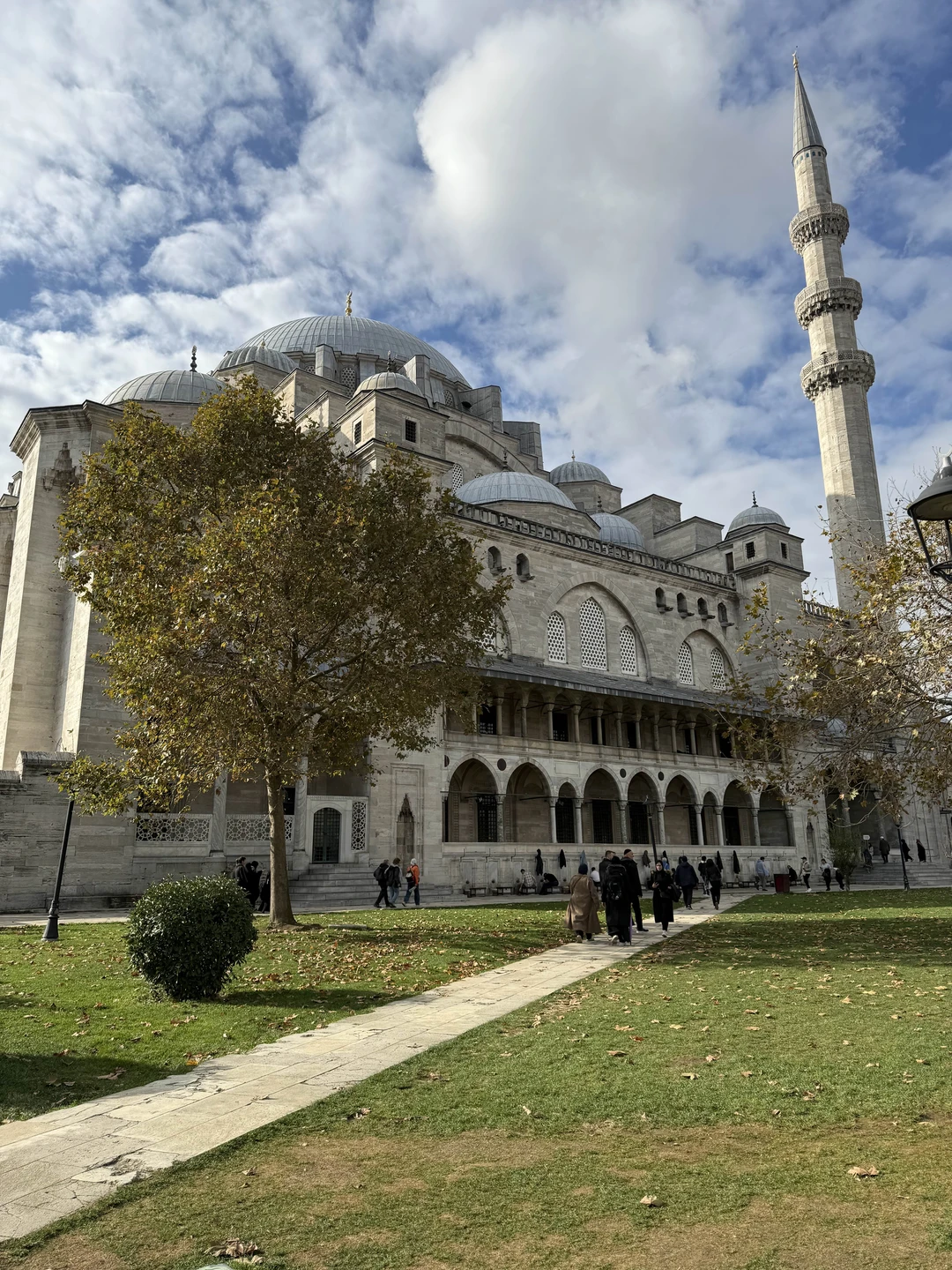 Отличный гид в мир Стамбула! Берите экскурсию- не пожалеете!