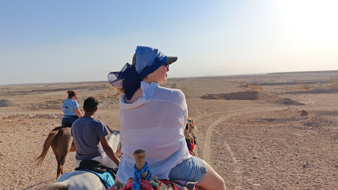 Все прошло на высшем уровне. Рекомендую