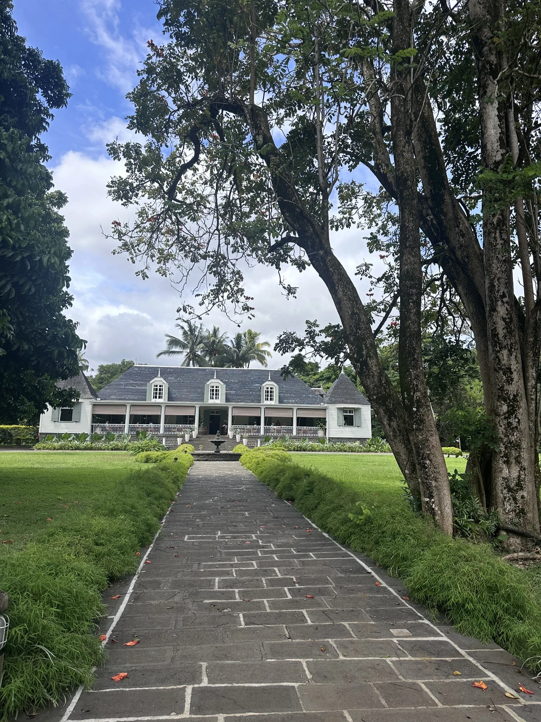 Хотим сказать огромное спасибо Ольге за экскурсию! Она прошла на одном дыхании, было очень интересно, познавательно