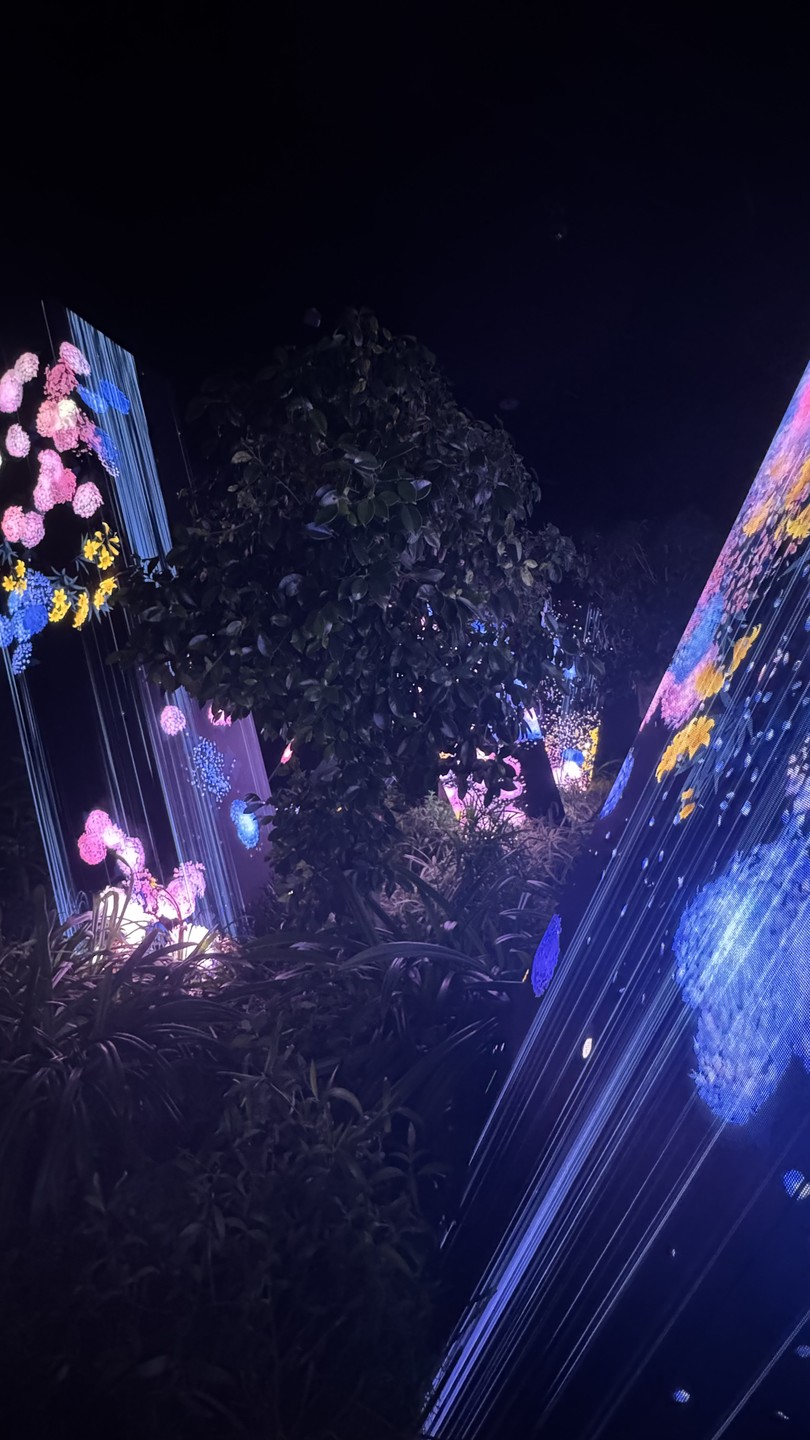 В круизе осматривали Абу-Даби с Фаридом. Уровень гида вне всяких похвал. Фарид интересно рассказал нам о