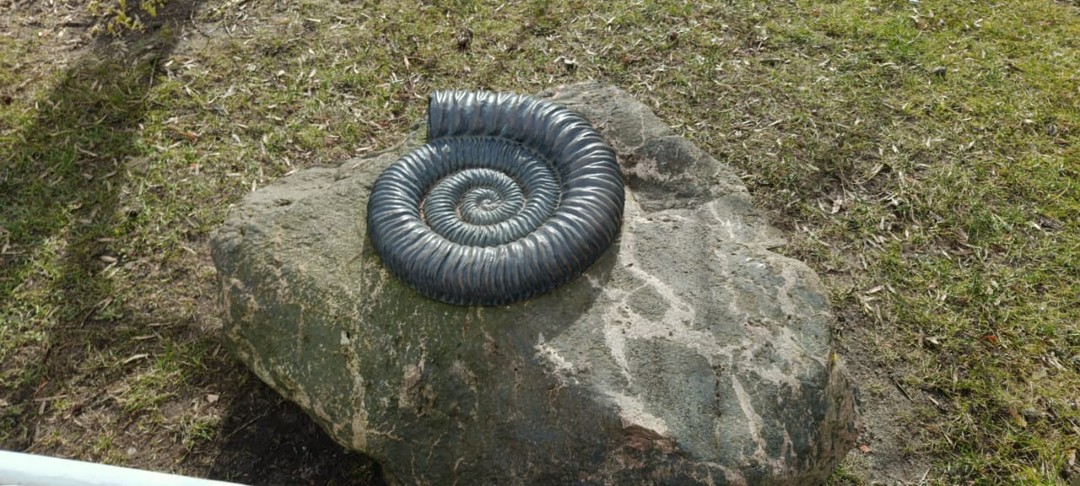 Романтическая прогулка по загадочному Калининграду (Елена)