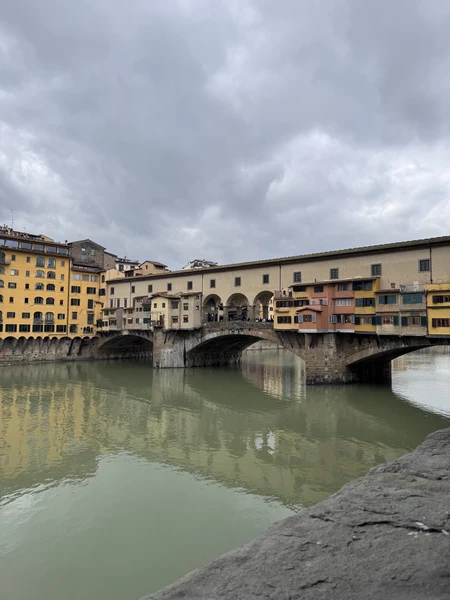 Галина профессиональный гид с отличной подачей информации и содержательными маршрутами. Изучили Флоренцию вдоль и поперек!