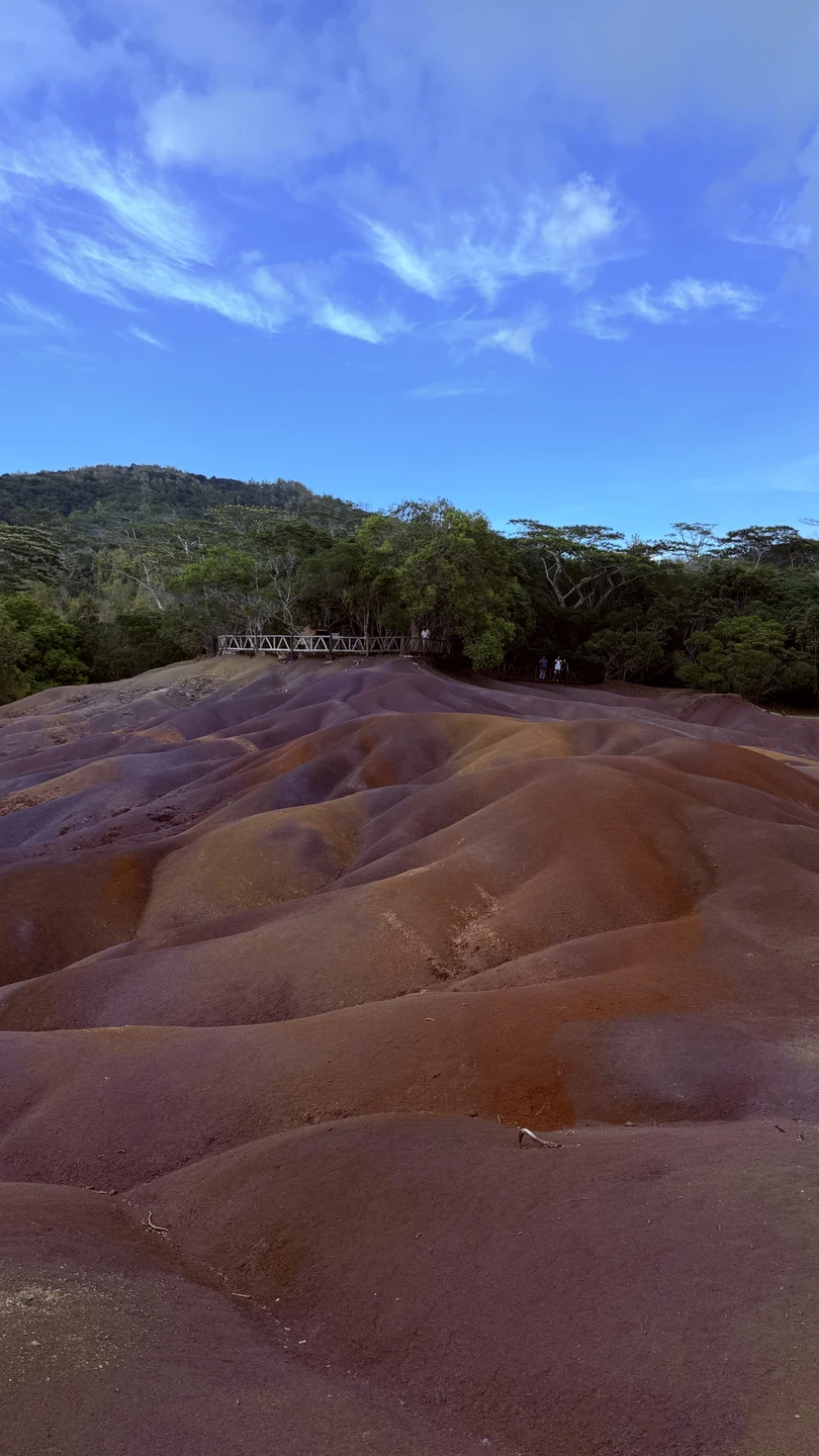 Ездили на экскурсию с Ольгой, все прошло невероятно замечательно, получили большое удовольствие от поездки! Ольга рассказывала