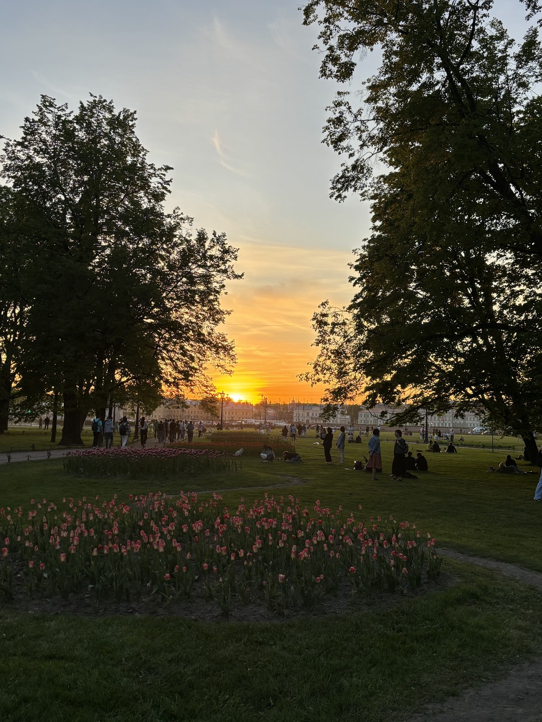 Совершили чудесную прогулку с Владиславом по вечернему Питеру. Хороший рассказчик и приятный спутник, он показал нам