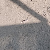 reviews img