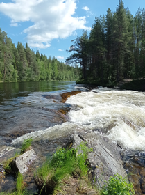 Кандалакшский и Терский берега Белого моря