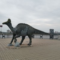 Фото отзыва 1: экскурсия "Нихао, Благовещенск!"