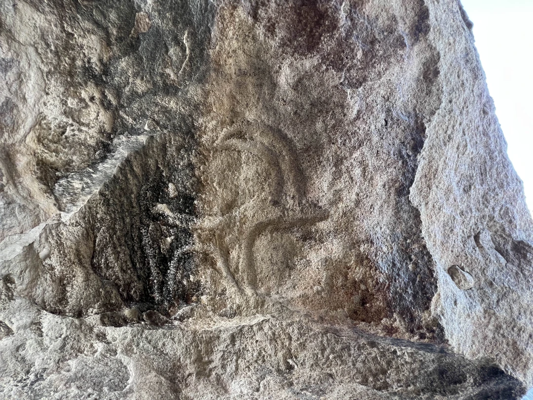 Экскурсию в Огненный Гобустан нам провел Джавид. Очень внимательный человек! Подстраивался под наш темп, выполнял наши