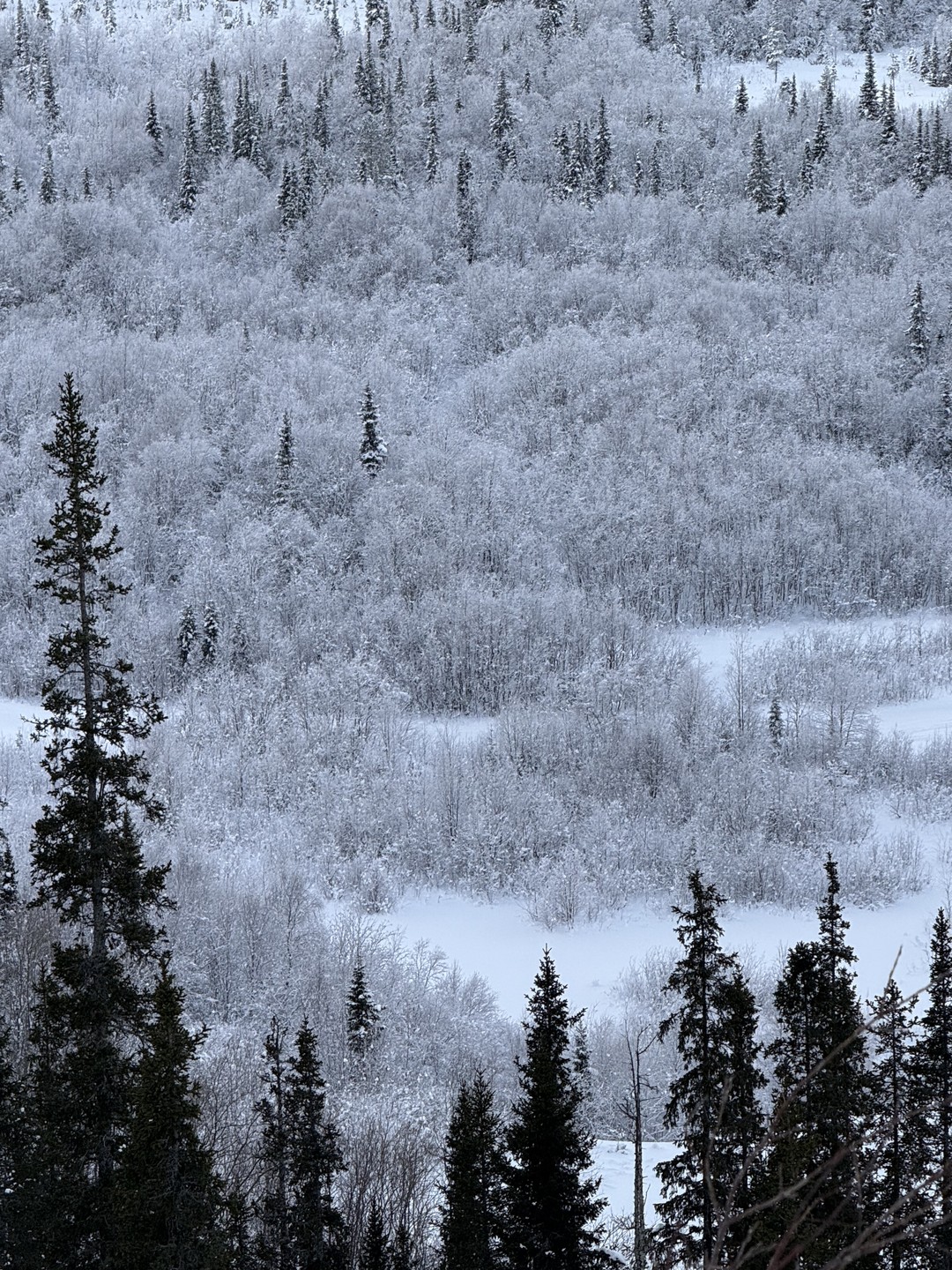 Оксана, спасибо большое! Особенно за сюрприз на день рождения жены и за помощь в розыгрыше! Просто все было супер!