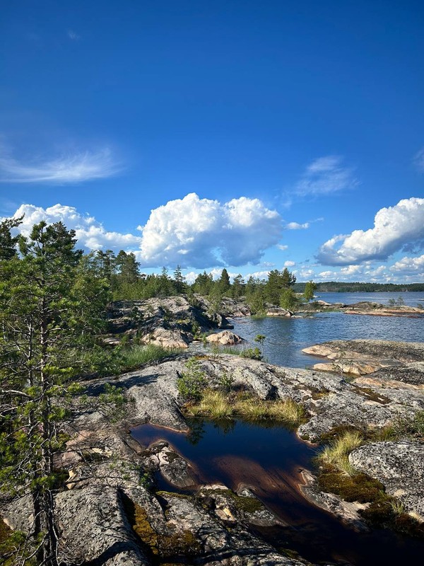 Прогулки по неизведанным тропам с проживанием в домиках на Ладожском озере
