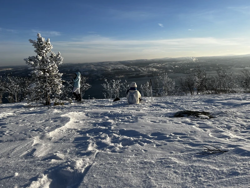 Виды Хайкинг в полярную ночь: сопки, фьорды и завораживающие виды