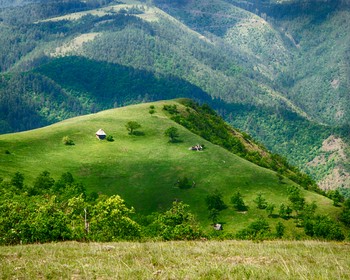 Ретропоезд и Златибор