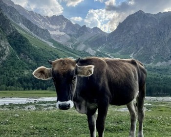 Подъём на Чегет, горное озеро у подножья Донгуз-Оруна