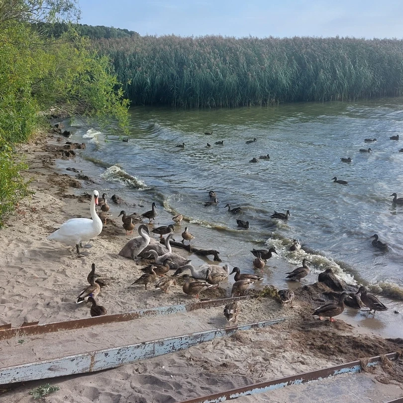 Идиллическая Куршская коса (Анна)