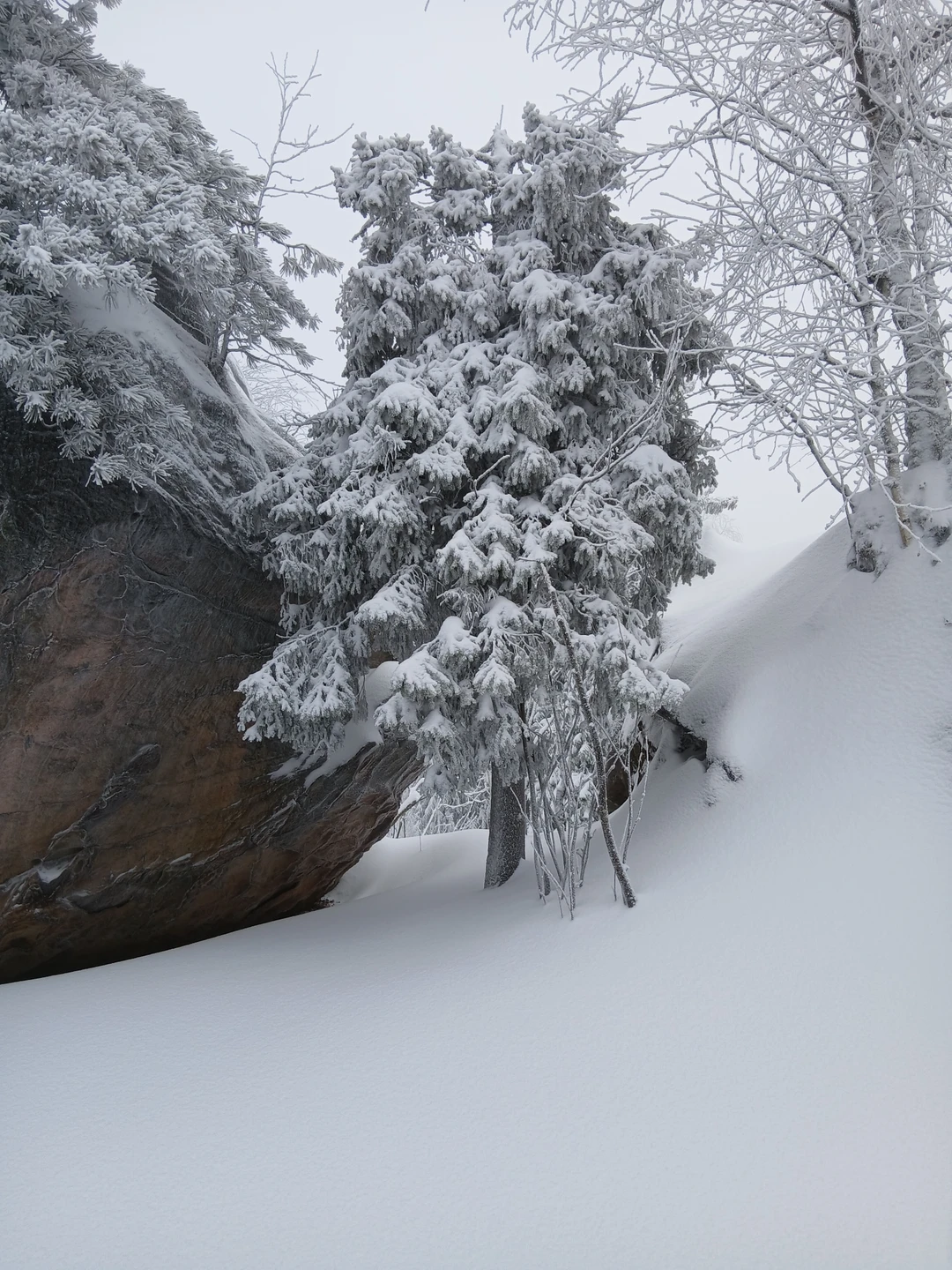 Была на экскурсии 29 ноября. Природа сделала подарок в виде снежного покрова за городом и от