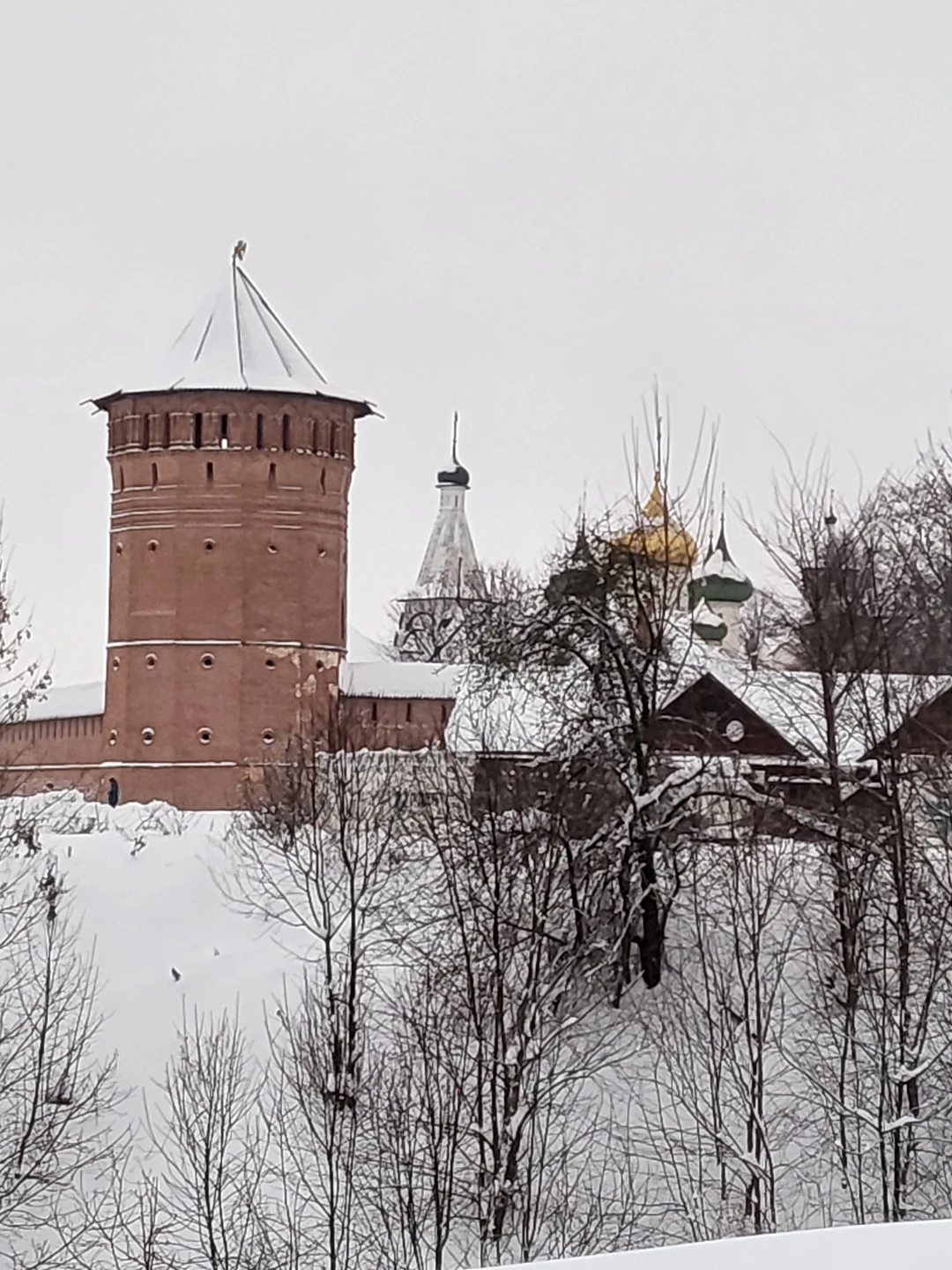 Это было незабываемое знакомство с Суздалем. Неспешная прогулка по всем основным самым красивым местам Суздаля. Николай