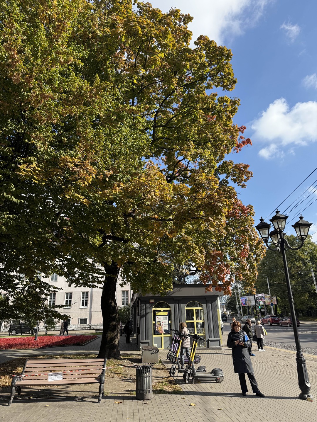Все замечательно, спасибо большое! Насладились прогулкой по красивому городу, живая манера рассказа, Елена классно рассказывает и