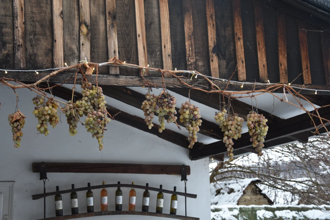 Конечно, путешествовать лучше весной. Но в этом году нам повезло увидеть нетипичную зимнюю Сербию, заваленную снегом