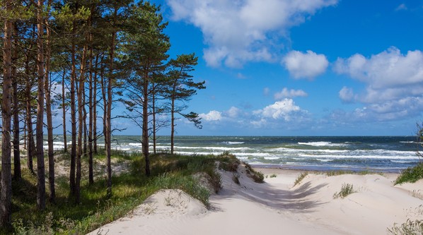 Отдых на&nbsp;Балтийском море