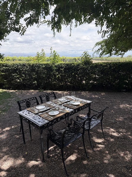 Это был невероятный день, наполненный яркими впечатлениями. Оливковая роща с дегустацией оливок, шампанерия и невероятный обед