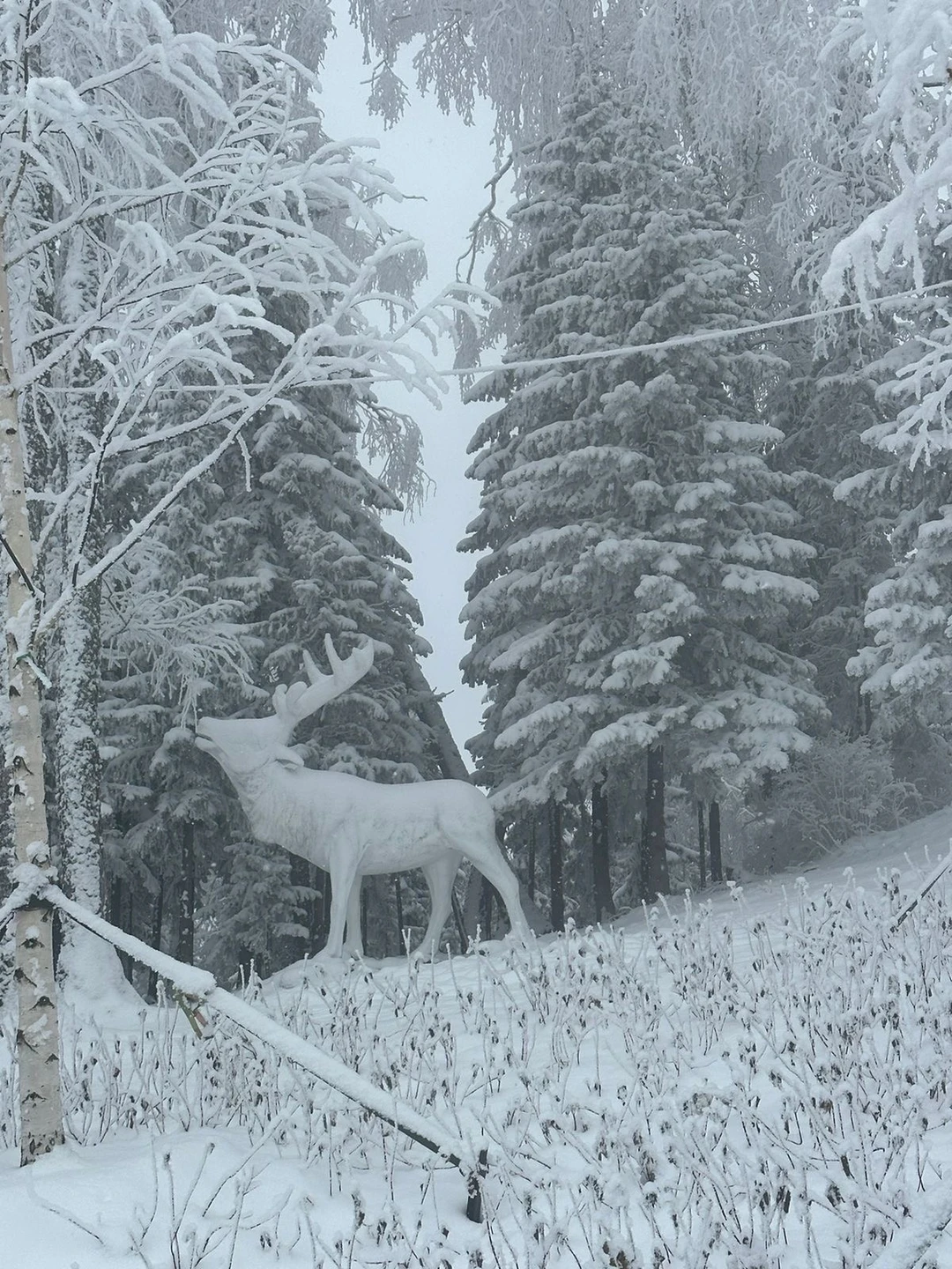 С Инессой ехать само удовольствие! Чувствуется большой опыт вождения и уверенность на дороге. Сначала боялся ехать