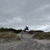 reviews img