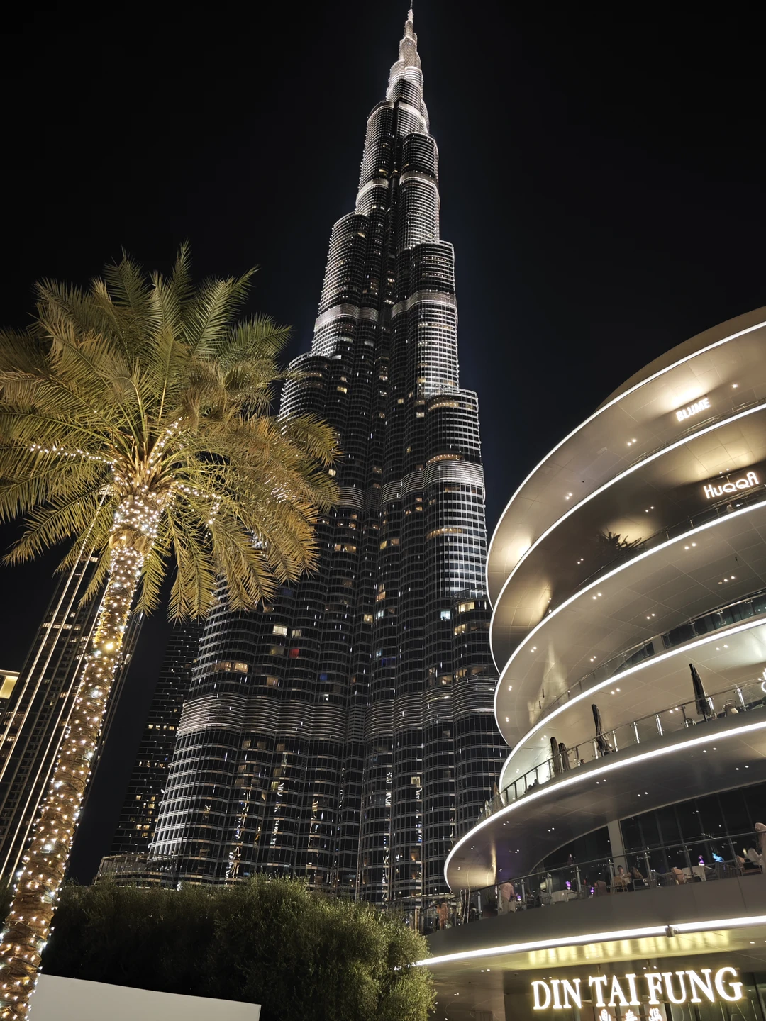 Вчера были на обзорной экскурсии по Дубаи. Весь день с нами был гид Затон. Очень грамотный