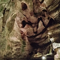 Фото отзыва 3: экскурсия "Поедем, поедим! Гастротур из Адлера"