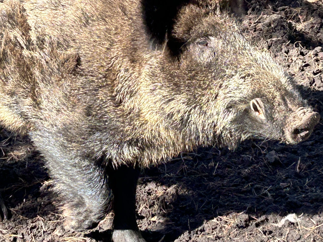 Великолепная экскурсия!