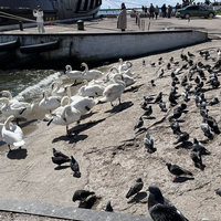 Фото туриста Ольга 1 - Путешествие в Балтийск: от закрытого города до открытого моря