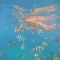 Фото отзыва 6: экскурсия "Морская прогулка на частной лодке по островам Гили + снорклинг с черепахами"