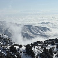 Фото отзыва 2: экскурсия "Любимый Самарканд"