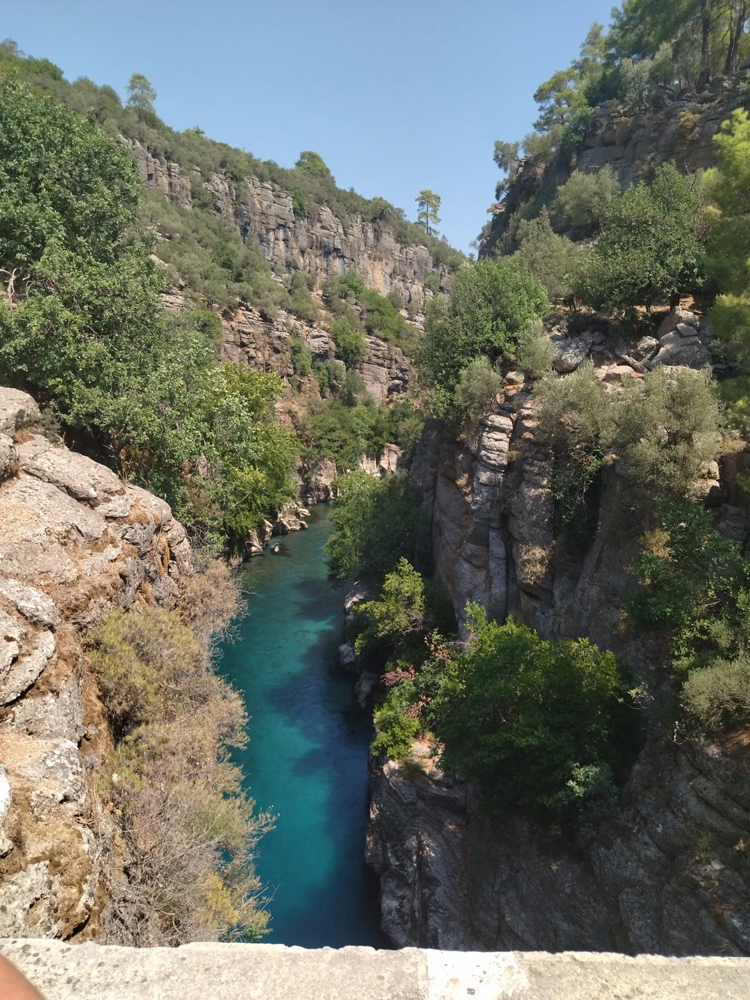 Нам обещали джипинг в экскурсии-в реале на месте нам предложили ехать на розовом батоне. Мы начали
