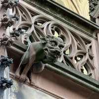 Фото отзыва 2: экскурсия "Свидание со Страсбургом"