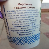 Фото отзыва 3: экскурсия "Петрозаводск глазами местного жителя"