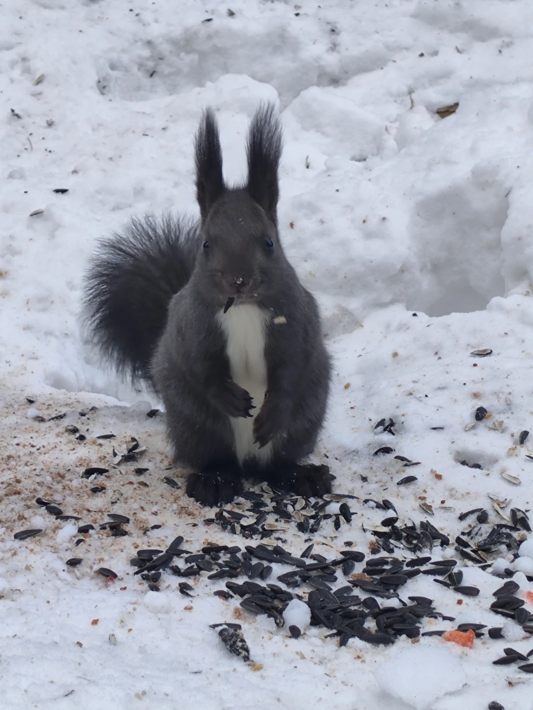 Мои искренние рекомендации Александре и маршруту "Столбы - магия Сибири"