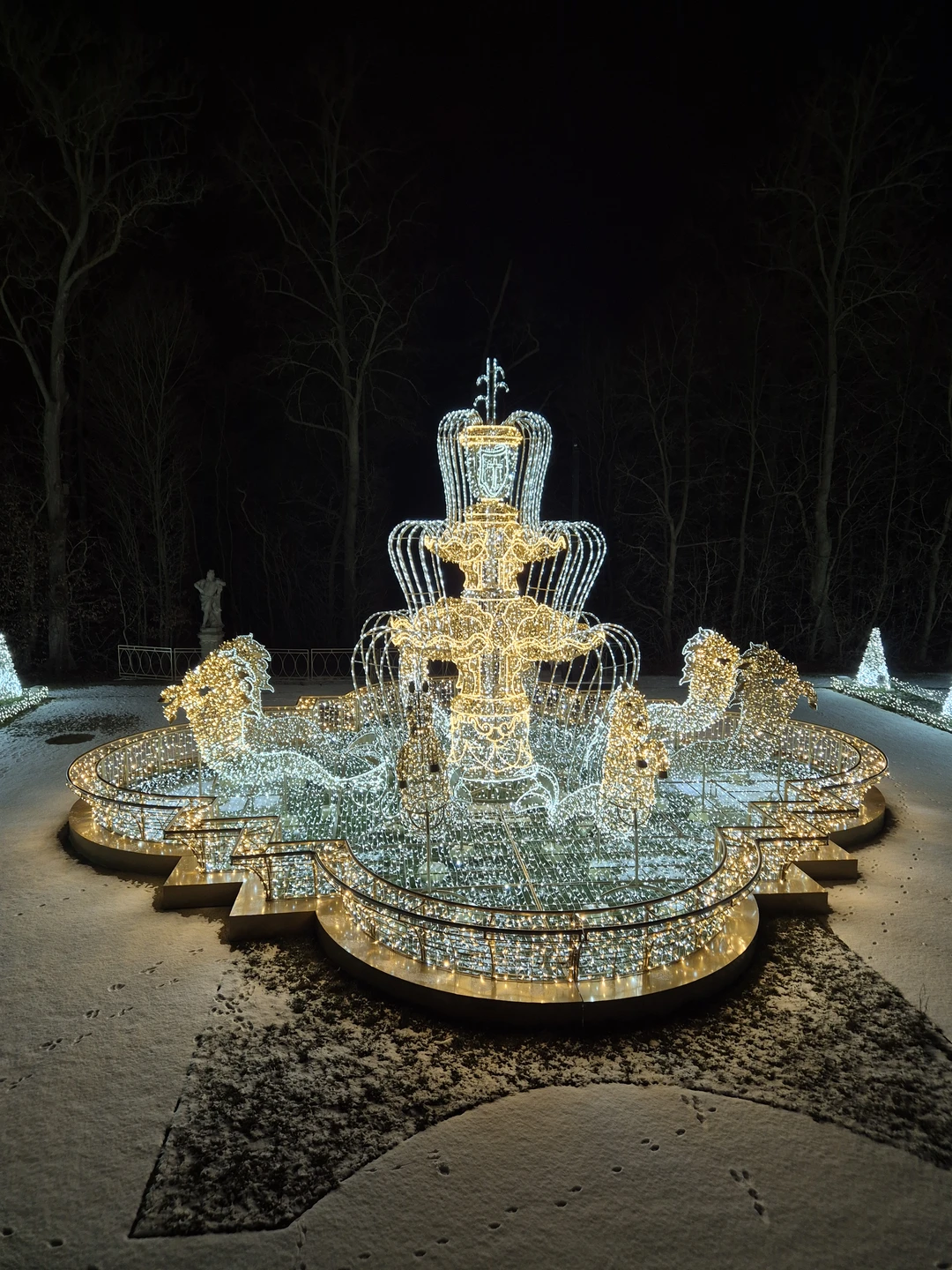 Экскурсия была замечательной. Я очень много узнала о истории Варшавы, посмотрела праздничное убранство города, великолепные световые