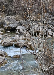 Фото отзыва 2: экскурсия "Из Душанбе — к озеру Искандеркуль в Фанских горах"