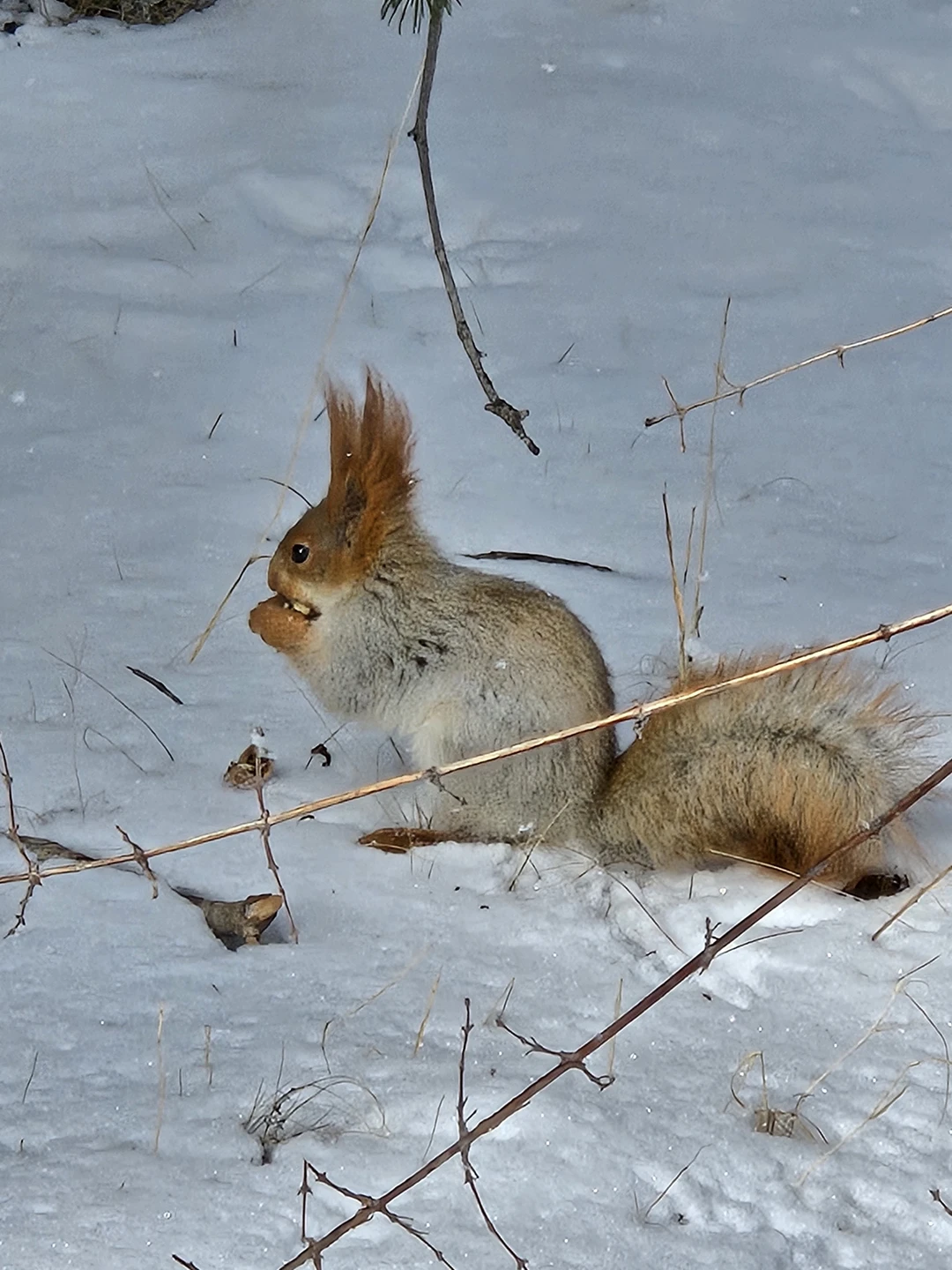 Прекрасная поездка, отличный гид, комфортный автомобиль - все было здорово, даже погода нам благоволила)