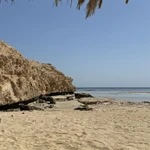 Аватар путешественника