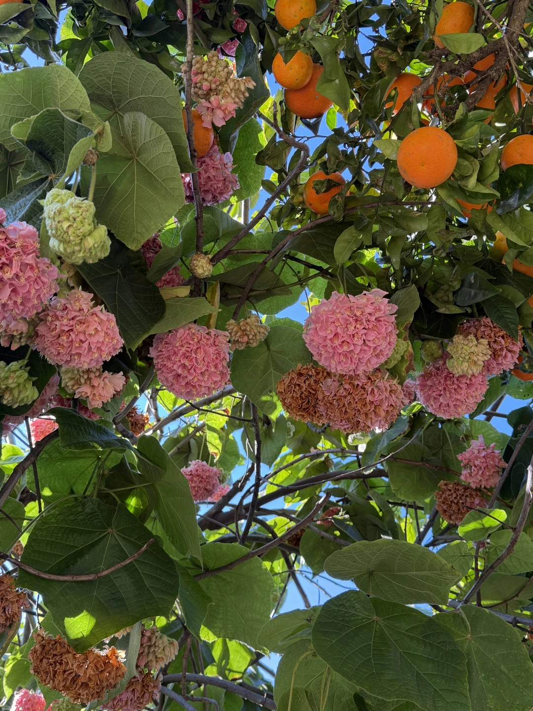 Знакомьтесь, Рабат (Наталья)