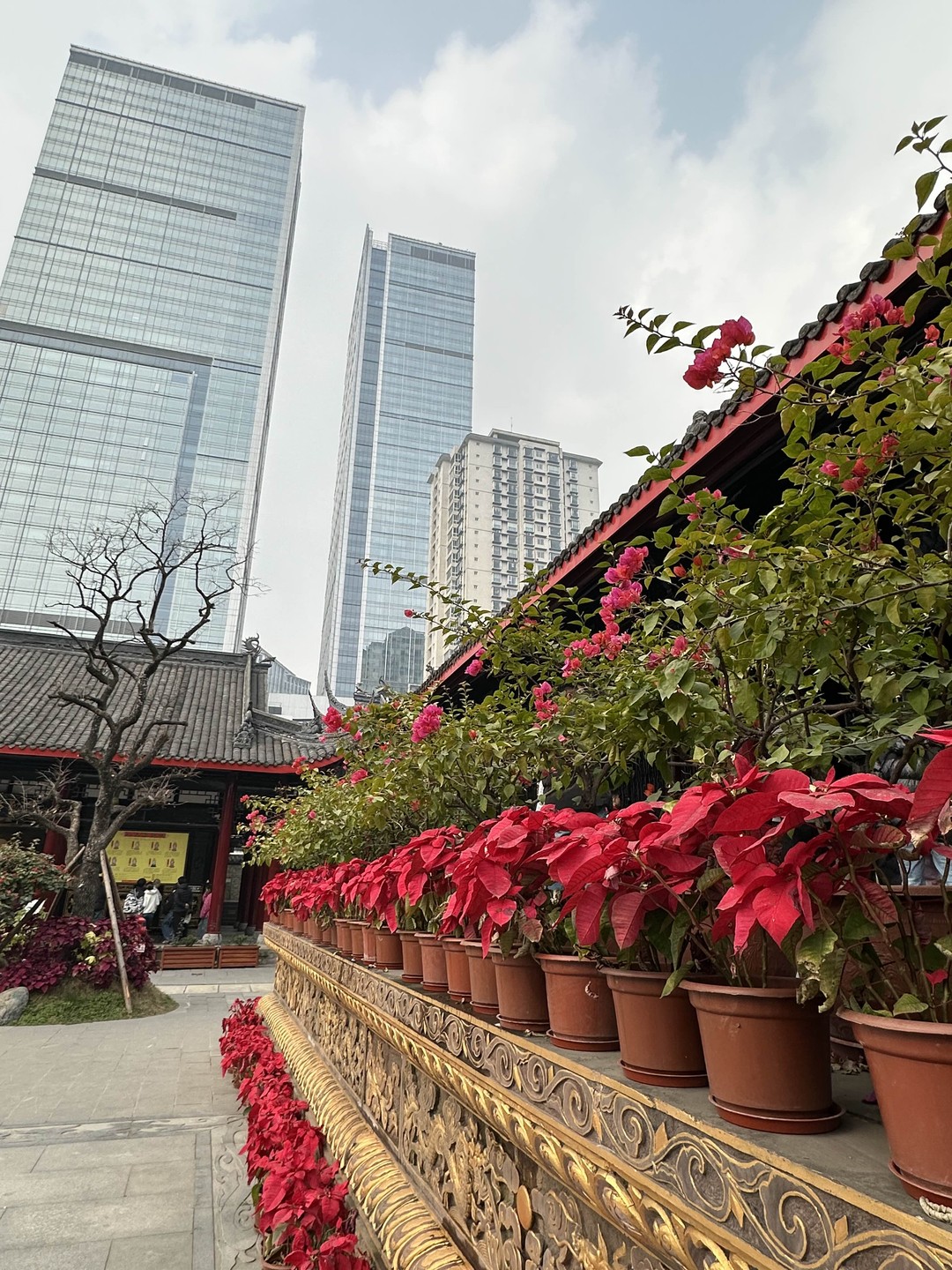 Спасибо Ольге за прекрасную экскурсию 28.12.25 по городу Ченду. Прекрасно подготовленный маршрут сочетался с глубокими знаниями