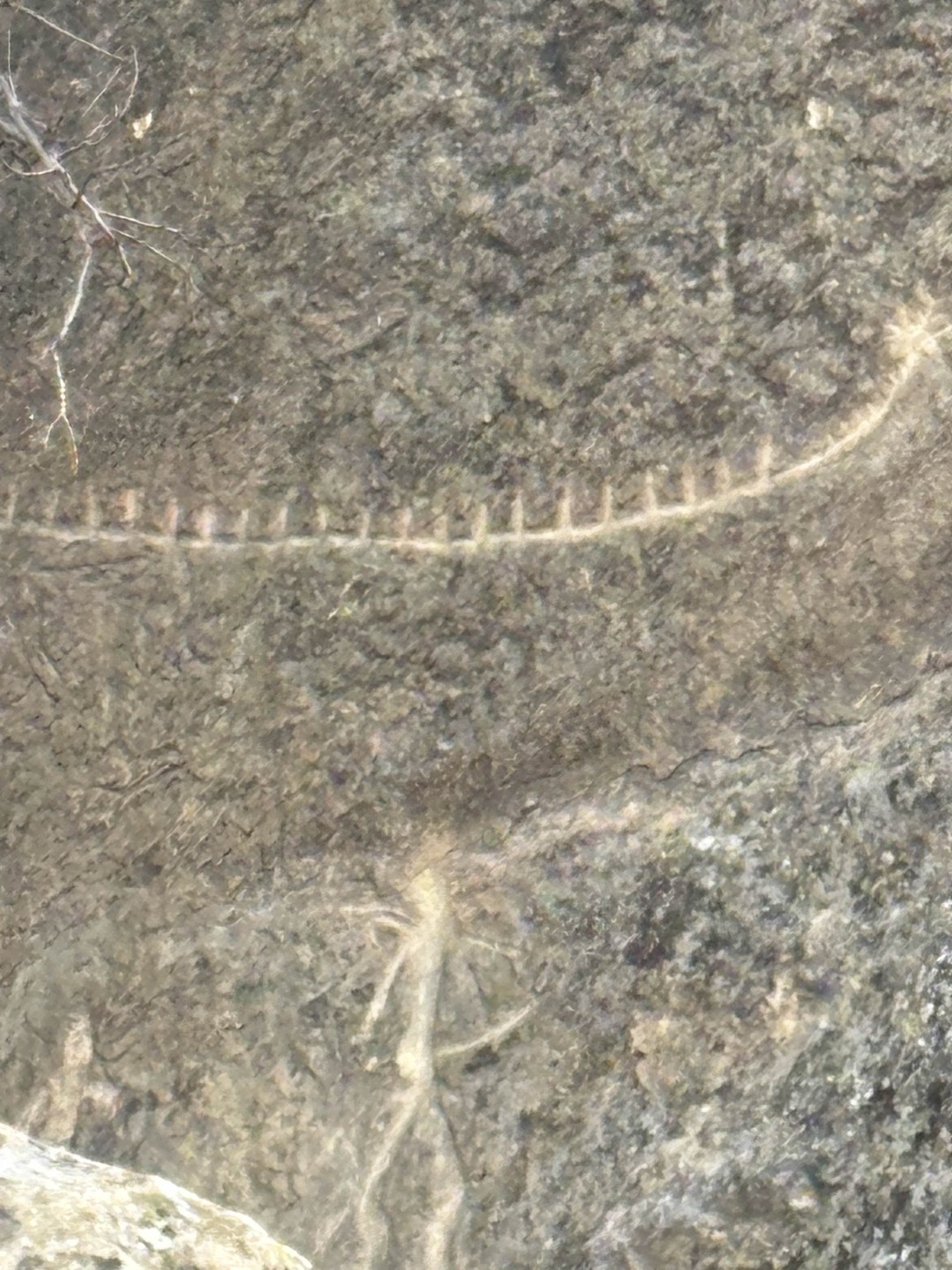 Путешествие в глубь веков: тайны Гобустана и Апшерона (Щепеткова)