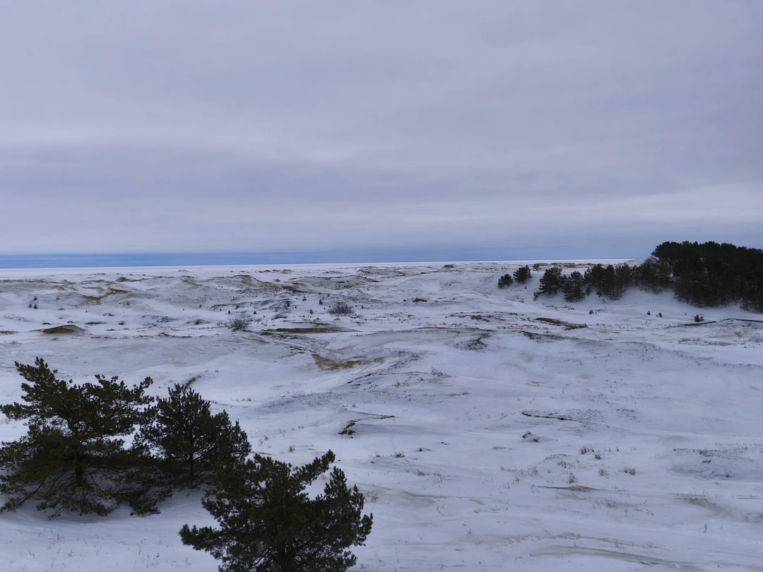 Огромное спасибо Регине за прекрасную экскурсию. Узнади много интересного. Природа прекрасна в любое время года